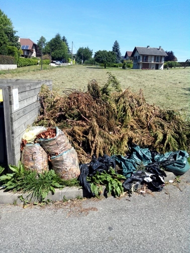 Evacuation déchets vert, Chantier Chambery le Haut, suite dépôt sauvage de déchet vert.